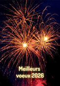 Feux d'artifice brillants pour 2026